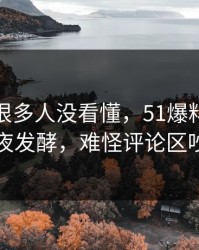 一开始很多人没看懂，51爆料相关话题深夜发酵，难怪评论区吵翻了