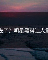 风头过去了？明星黑料让人震撼不已