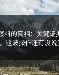 揭开51爆料的真相：关键证据不断扒出，这波操作还有没说完？