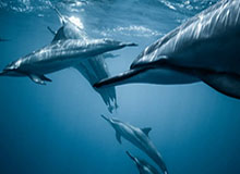 几张截图带出吃瓜爆料51这波后续,几个关键关联内容终于接上了