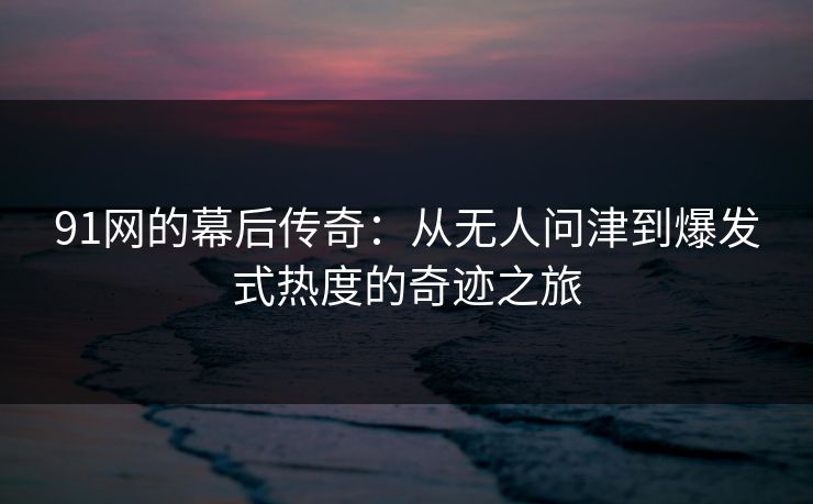 91网的幕后传奇：从无人问津到爆发式热度的奇迹之旅