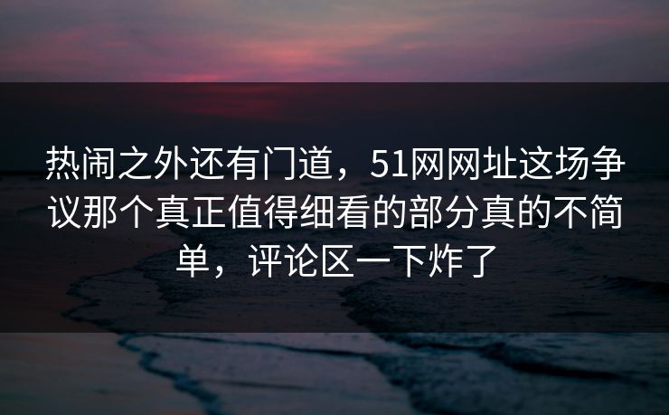 热闹之外还有门道，51网网址这场争议那个真正值得细看的部分真的不简单，评论区一下炸了