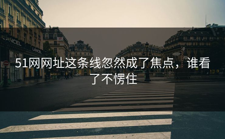 51网网址这条线忽然成了焦点，谁看了不愣住