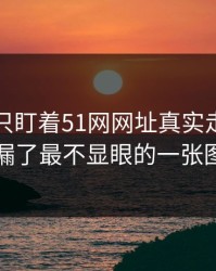 很多人只盯着51网网址真实走向，却漏了最不显眼的一张图