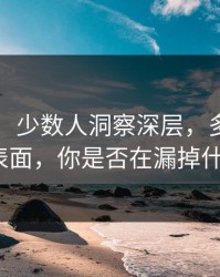 近51网：少数人洞察深层，多数人只看表面，你是否在漏掉什么？