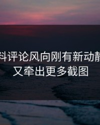 明星黑料评论风向刚有新动静，后面又牵出更多截图