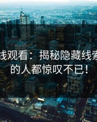 91网在线观看：揭秘隐藏线索，看懂的人都惊叹不已！
