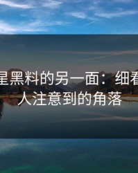 揭开明星黑料的另一面：细看那些没人注意到的角落