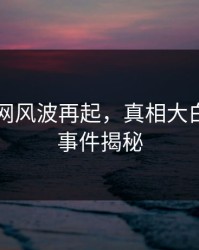 51爆料网风波再起，真相大白，真实事件揭秘
