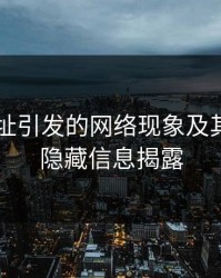 51网网址引发的网络现象及其背后的隐藏信息揭露
