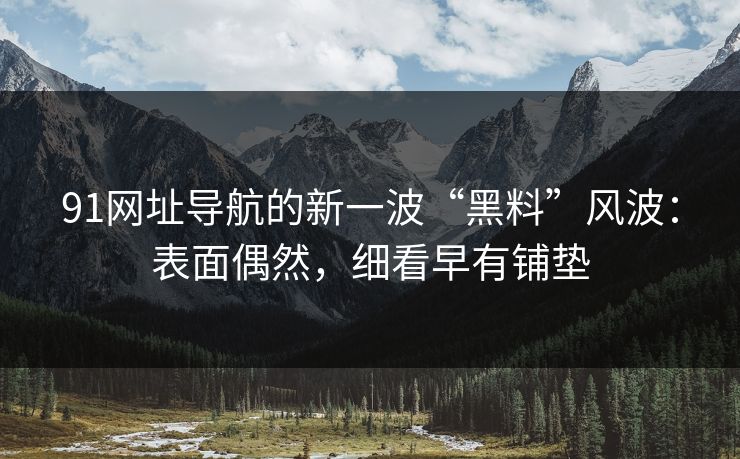91网址导航的新一波“黑料”风波：表面偶然，细看早有铺垫