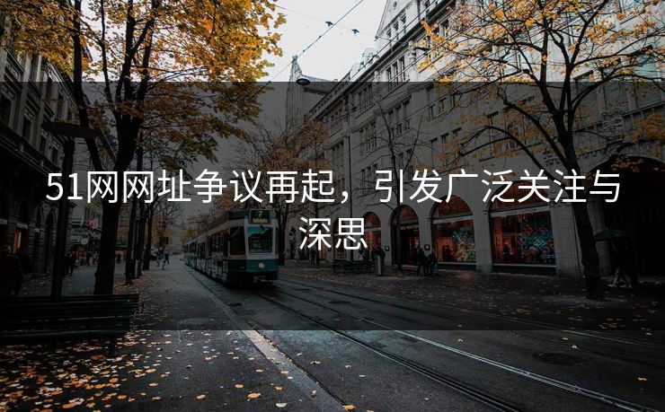51网网址争议再起，引发广泛关注与深思
