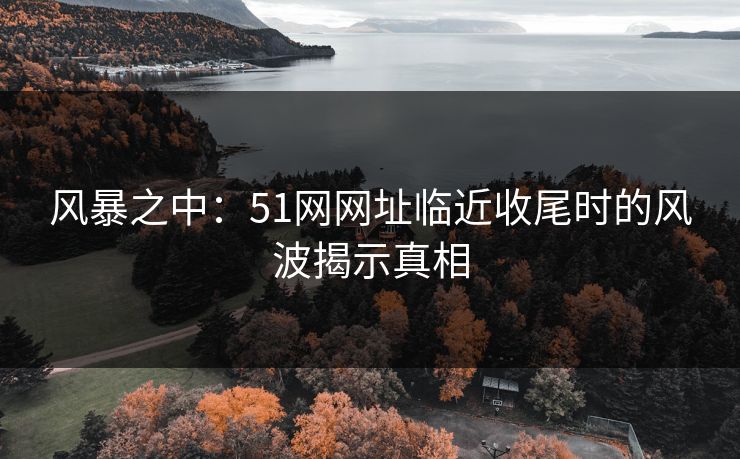 风暴之中：51网网址临近收尾时的风波揭示真相